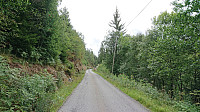 Road to the trailhead