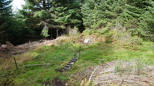 Trail north from Lyngfjellet