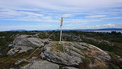 Vikåsen