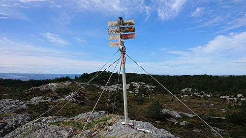 Vikåsen