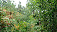 Start of the trail...
