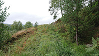 Marked trail