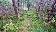 Trail south from Hodnaklatten