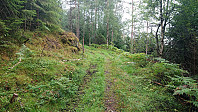 Tractor road towards Myrsfjellet