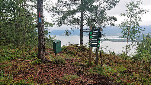 Myrsfjellet viewpoint