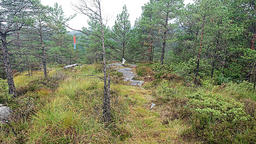 Marked trail down to Myr from Myrsfjellet