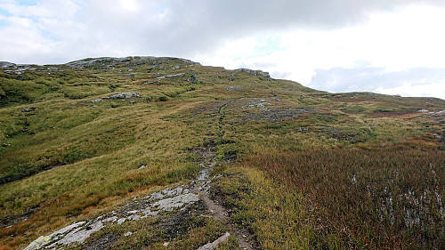 Trail back towards Byrkjefjellet