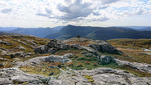 Raudskredbruna with Bruviksnipa in the background