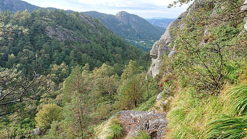 Looking back at the first steep climb up to Gravdalsfjellet. Lyngbønipa to the left.