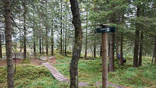 Signs pointing away from the summit of Torrfjellet...