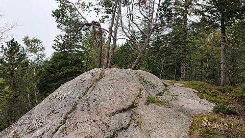 The summit of Torrfjellet from the southeast