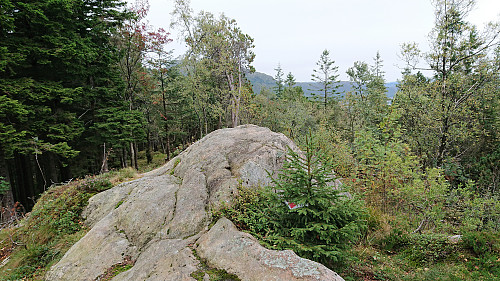 The summit of Torrfjellet from the northwest
