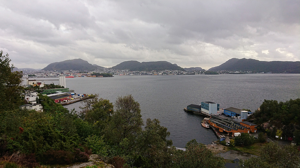 View from in front of NHH