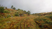 Tractor road towards the summit