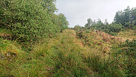 Tractor road towards the summit