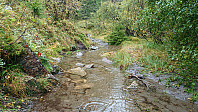 Trail/stream towards Vedå