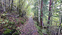 Trail toward Nunnåsfjellet