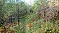 Trail toward Nunnås