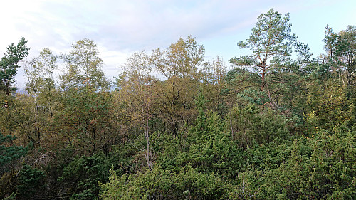 View toward Kråkenipa from the trig marker at Nunnåsfjellet