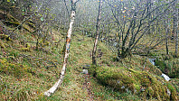 Blue/orange trail to Fusafjellet