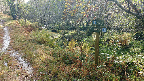 Tractor road toward Strandvik