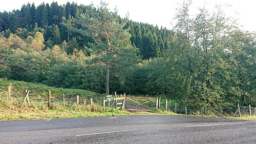 Looking back at the end of the trail at Vinnesvegen