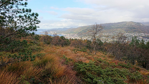 On the way down to the trig marker