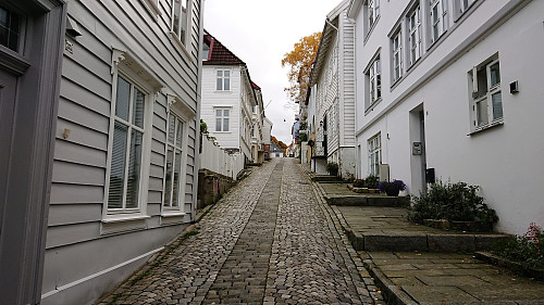 Skuteviksveien