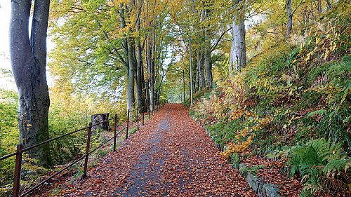 Breistølsveien just below Fjellveien