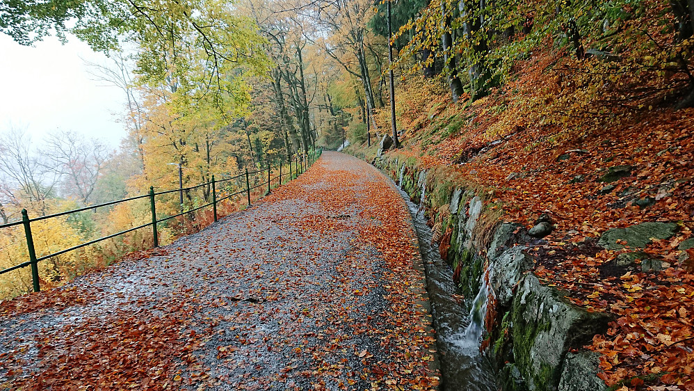 Fjellveien