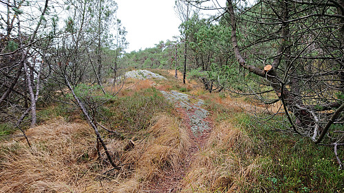 The alternative trail along the east side of Munkebotsvatnet