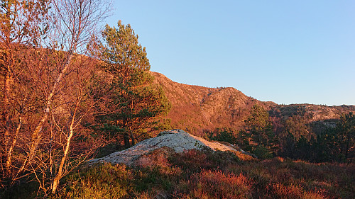 Brennhaugen