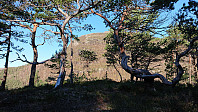 Sutto. Background: Storafjellet.
