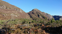 Towards Kalddalen