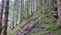 Deer tracks toward Eineråsen