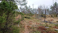 Surprise marked trail
