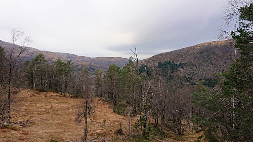 Towards Trengereidhotten from the descent