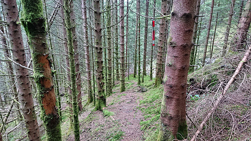 Marked trail followed on the descent
