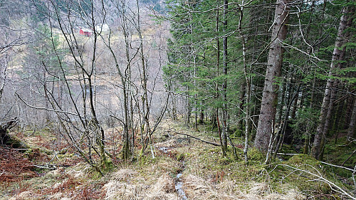 The trail turns rather weak before connecting with the gravel road