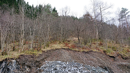 The unmarked trailhead