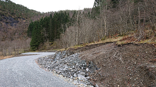 Unmarked trailhead up to the right