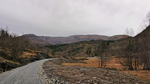 View toward Gullfjellet when returning to the road