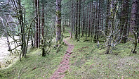 Trail toward Hagåsen