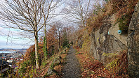 Trail up to Fjellveien