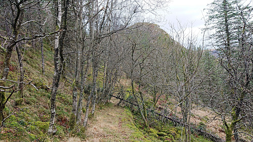 The old trail/road south of Blåmanen. Lørdagsknausen in the background.