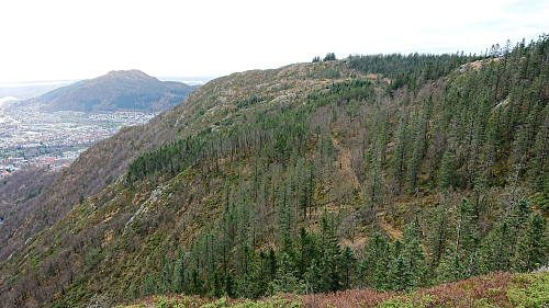 Looking back at the old trail/road from Lørdagsknausen