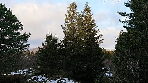 The limited views from Liahedda
