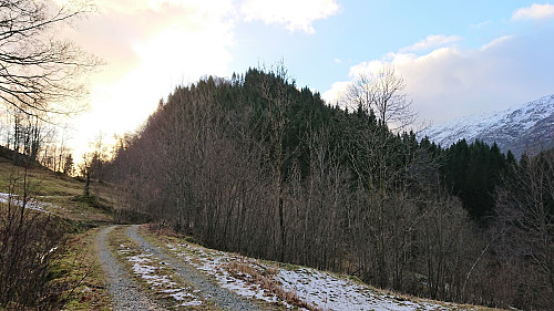 Looking back at Liahedda