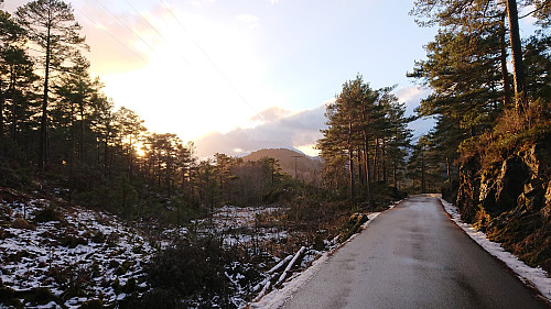 Looking back at Liahedda