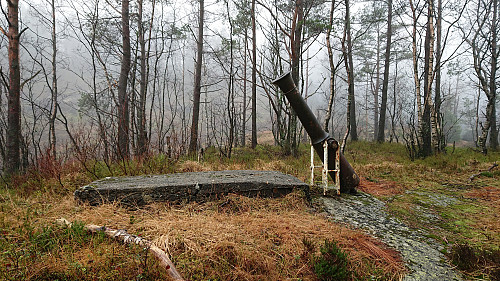 Cannon on the small hill beyond Soldathytten